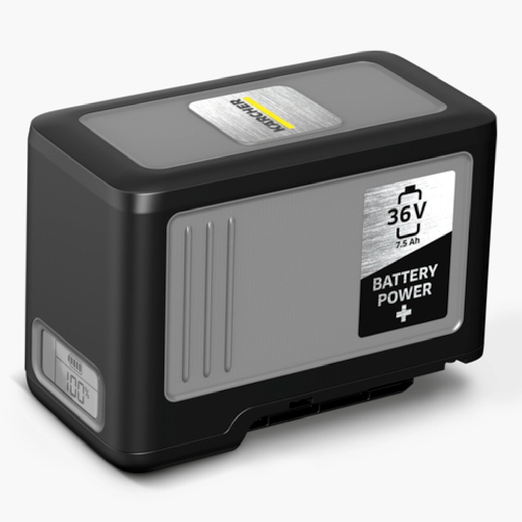 Starter Kit Battery Power+ 36/75.  2.445-070.0