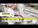 Limpiadora De Vapor Y Aspirador Karcher Sgv 8/5  1.092-010.0