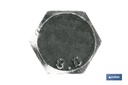 Imagen Adicional de Tornillo con cabeza hexagonal DIN-933