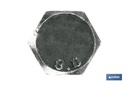 Imagen Adicional de Tornillo con cabeza hexagonal SAE DIN-931