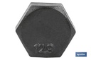 Imagen Adicional de Tornillo con cabeza hexagonal DIN-931