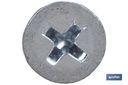 Imagen Adicional de Tornillo Roscachapa Cabeza Avellanada Phillips Zincado