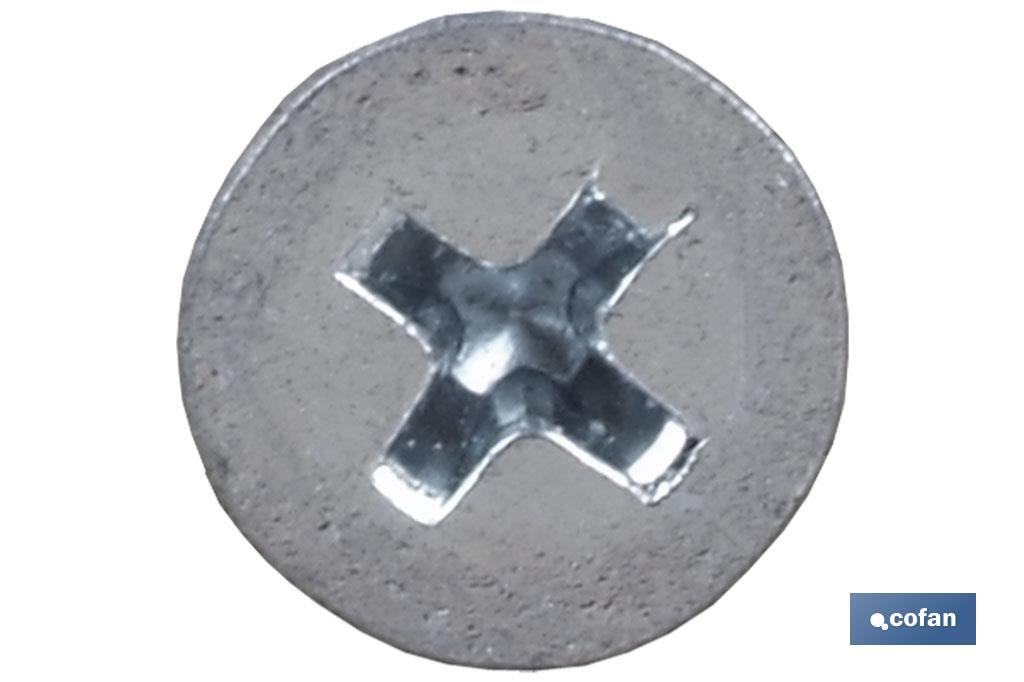 Imagen Adicional de Tornillo Roscachapa Cabeza Avellanada Phillips Zincado