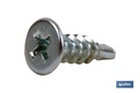 Imagen Adicional de Tornillo autotaladrante cabeza extraplana Phillips Blanco