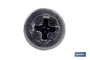 Imagen Adicional de Tornillo Autotaladrante Cabeza Extraplana Phillips Negro