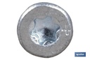 Imagen Adicional de Tornillo Cabeza Plana Torx Anclaje Especial Hormigón. ZINCADO BLANCO SIN CROMO 6