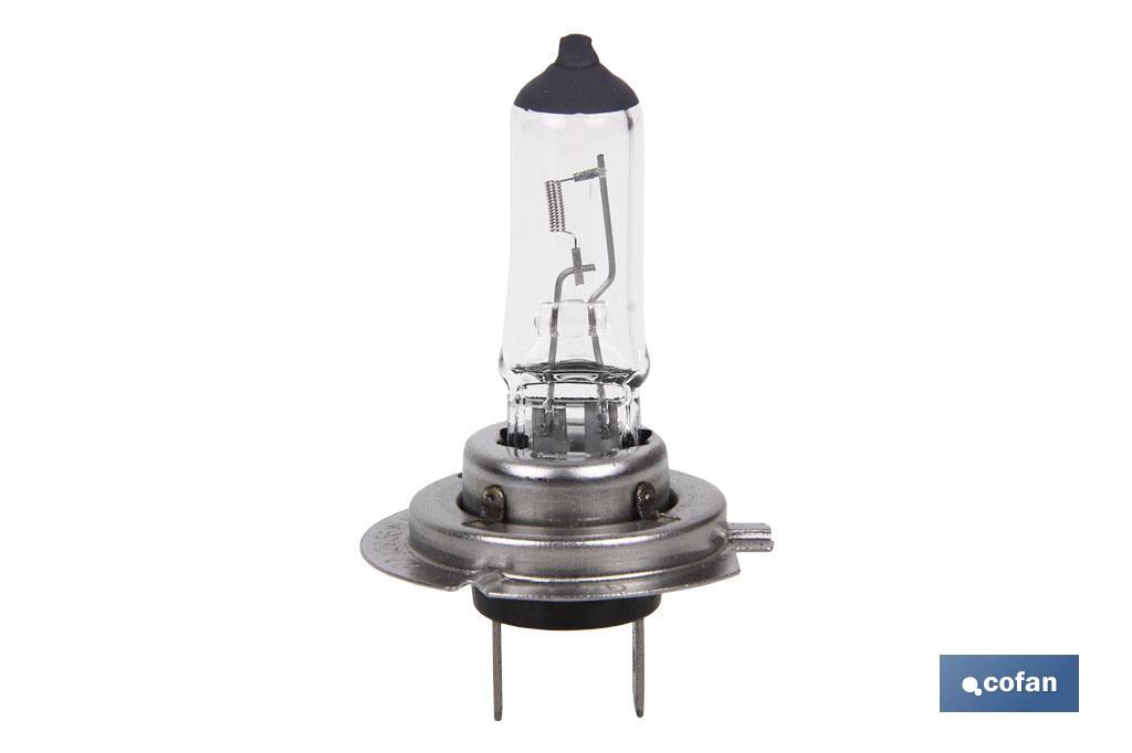Imagen Adicional de Lámpara halógena H7 (Px26d) 12 V 55 W