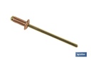Imagen Adicional de Remaches Cobre - Bronce