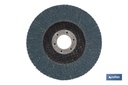 Imagen Adicional de Discos Laminados Estándar Plano