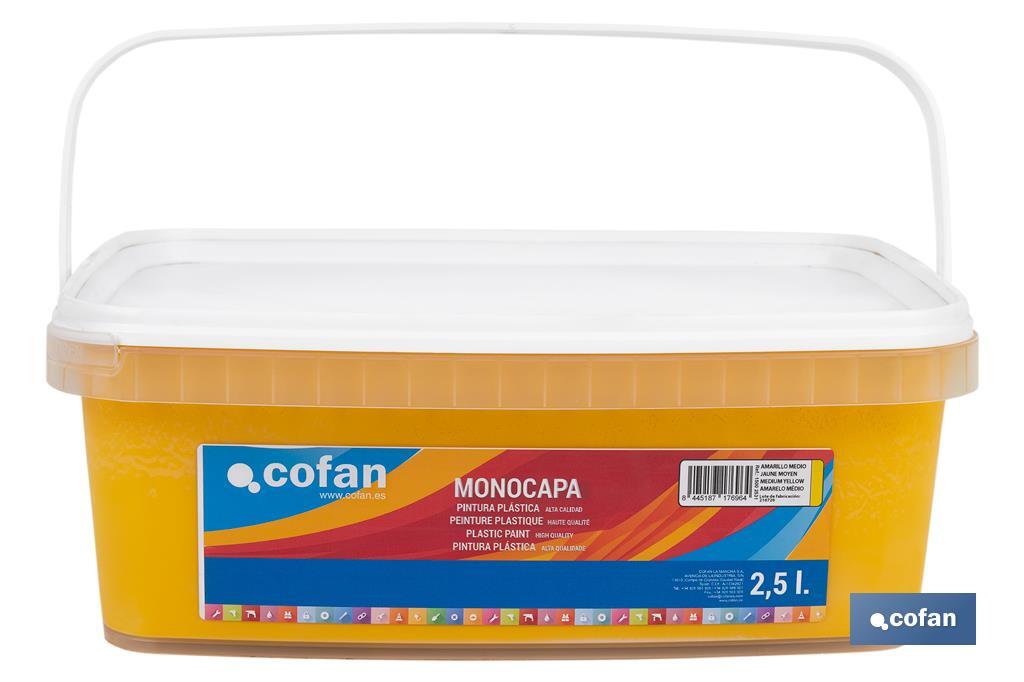 Imagen Adicional de Pintura Plástica Monocapa