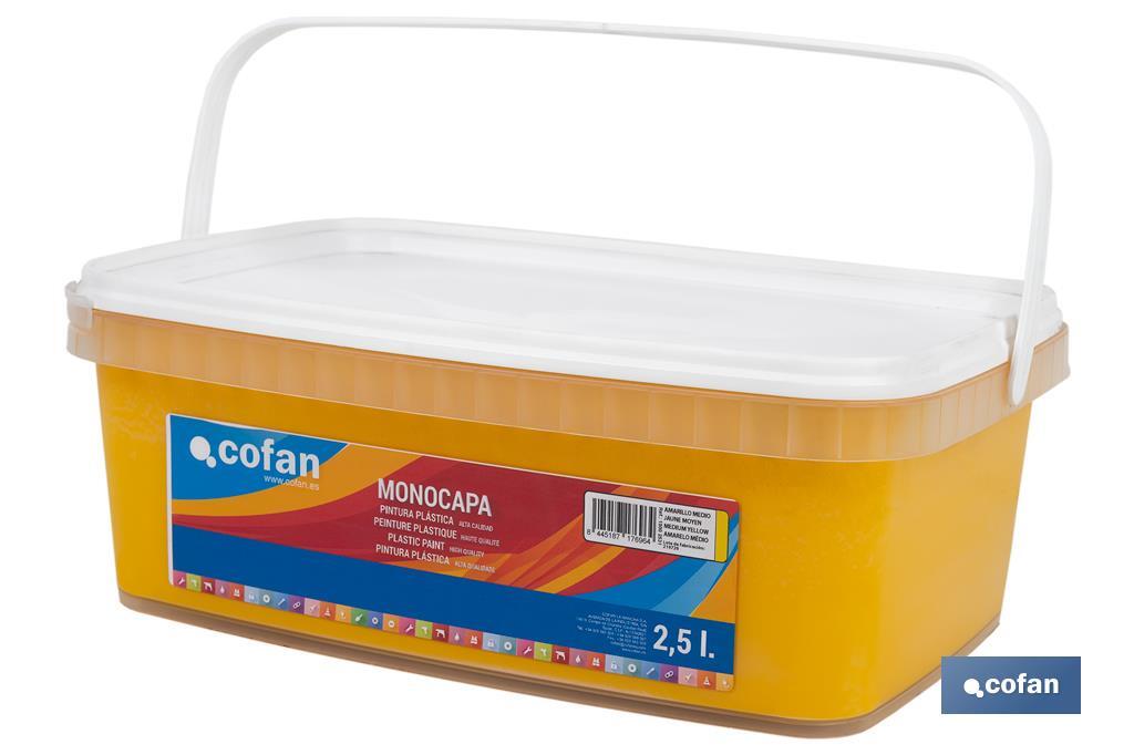 Imagen Adicional de Pintura Plástica Monocapa