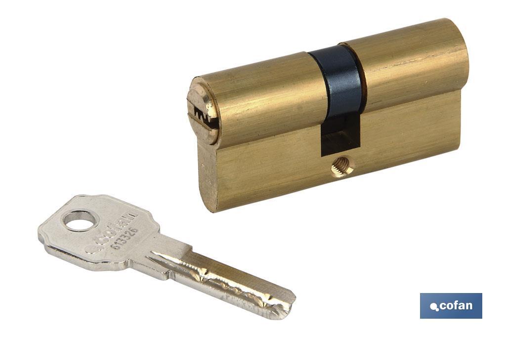 Imagen Adicional de Cilindro Seguridad Llave Normal Leva Larga