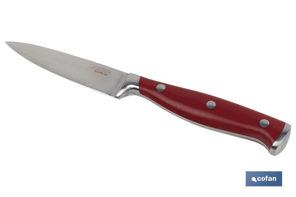 Imagen Adicional de Puntilla de Cocina con forjado francés