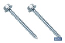 Imagen Adicional de Conjunto de Tornillos