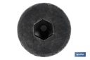 Imagen Adicional de Tornillo allen DIN 7991