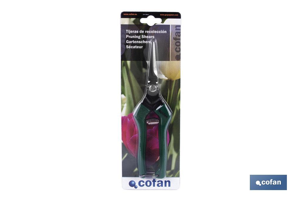 Imagen Adicional de Tijeras de recolección con punta recta y longitud total de 205 mm