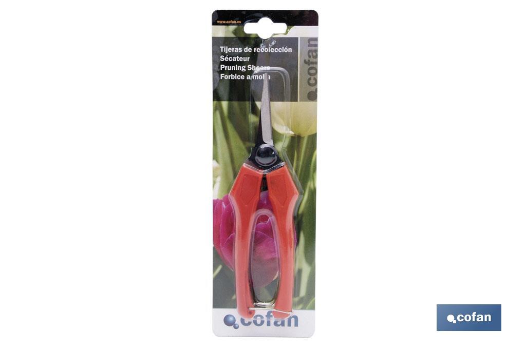 Imagen Adicional de Tijeras de recolección con mango de fibra de 190 mm