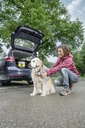 Caja De Accesorios Para Mascotas