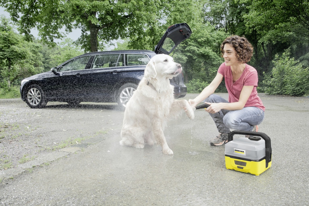 Caja De Accesorios Para Mascotas