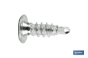 Tornillo autotaladrante cabeza extraplana Phillips INOX