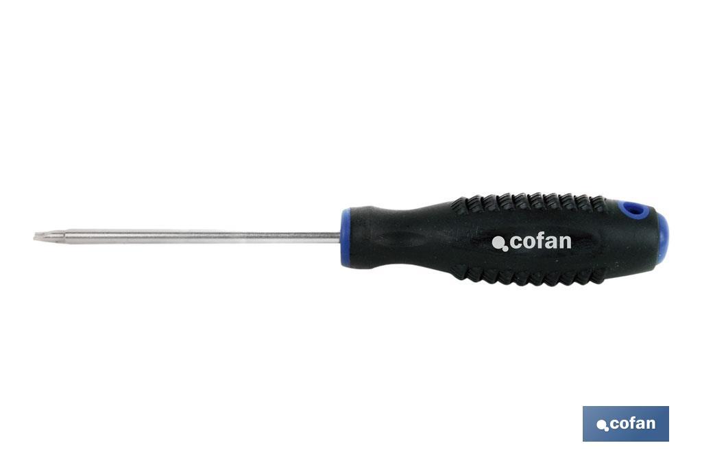 Destornillador Spanner doble punta