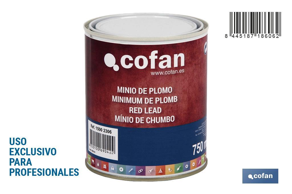 Minio de Plomo