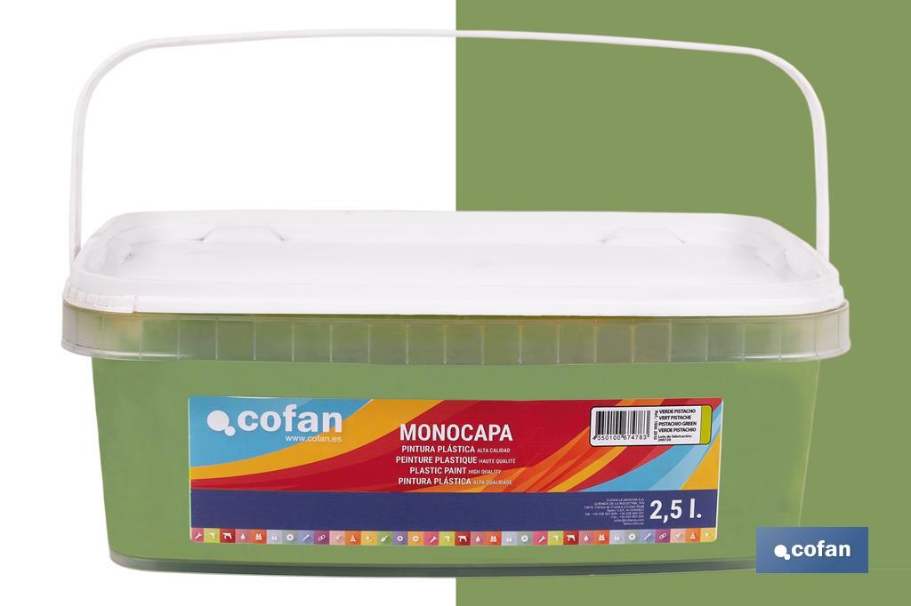 Pintura Plástica Monocapa