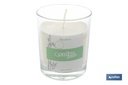 Vela aromática de cera vegetal