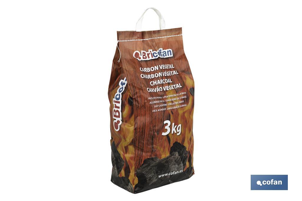 Bolsa con asas de Carbon vegetal