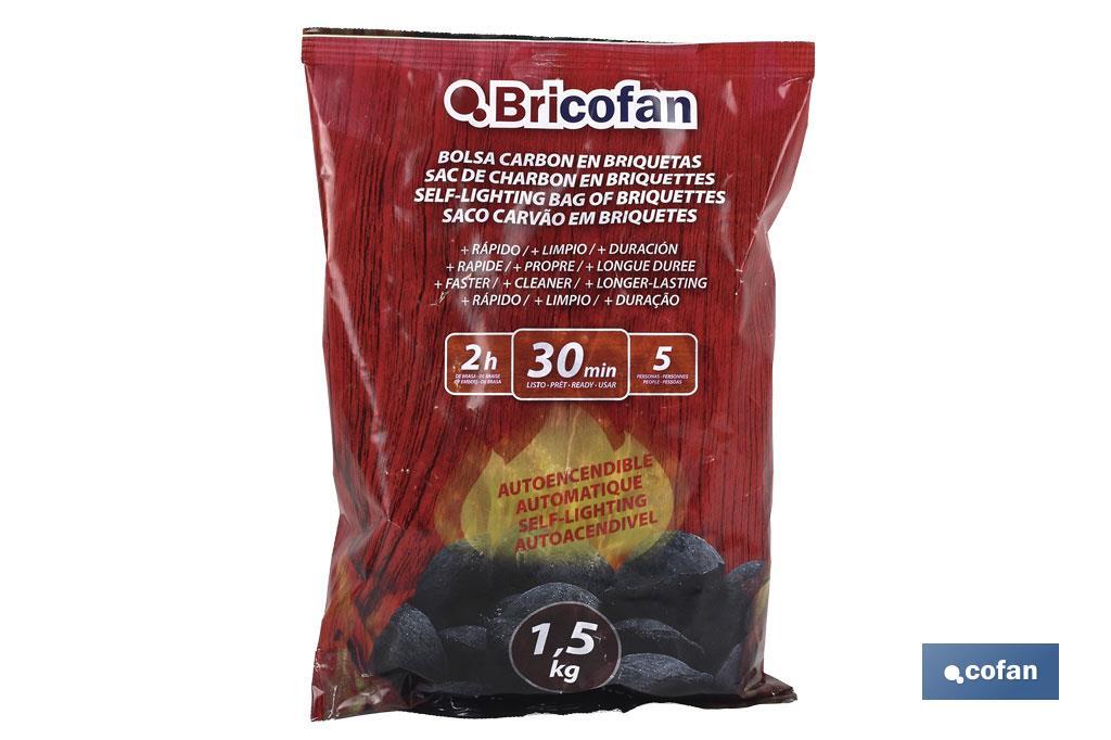 Bolsa de carbón en Briquetas