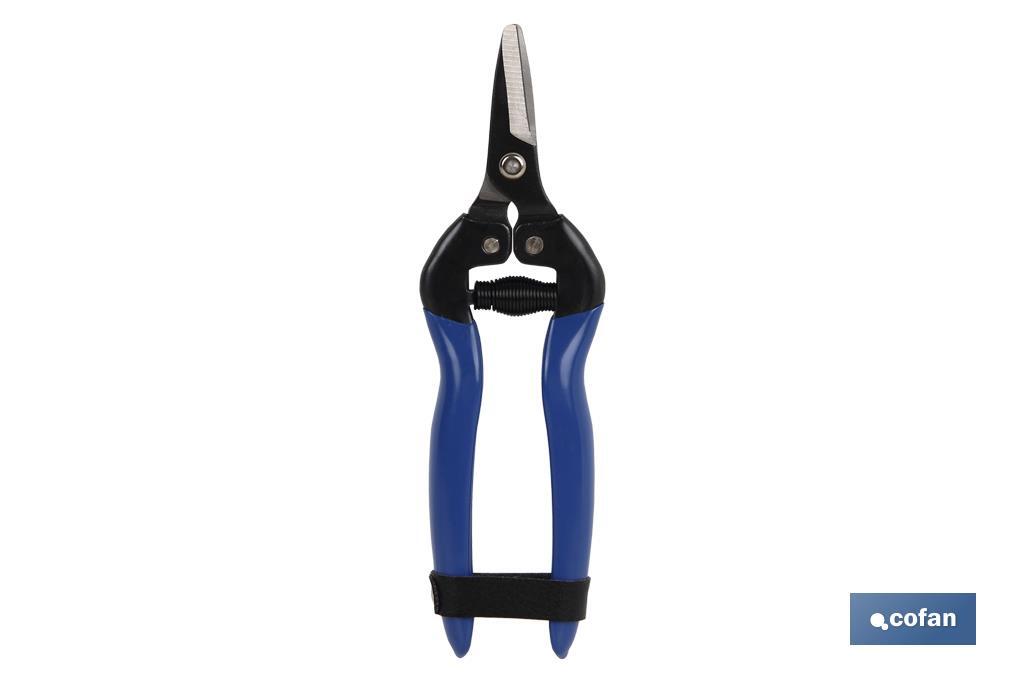 Tijeras de recolección con punta recta corta y longitud total de 165 mm