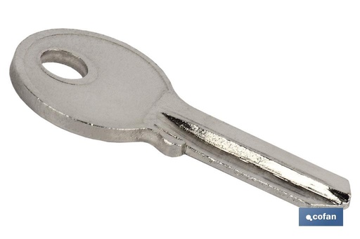 [10403151] LLave Bruto Candado 25 MM