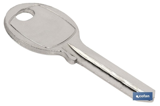 [10403154] LLave Bruto Candado 50 MM