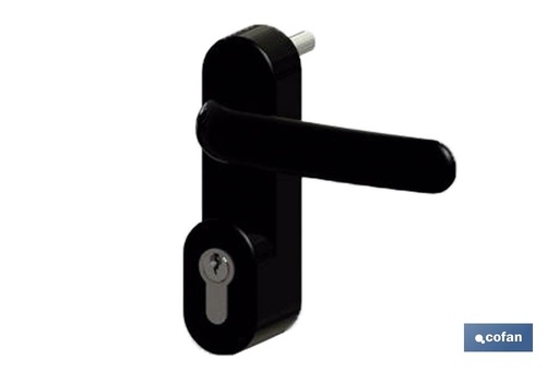 [31400600] Manivela+cilindro Antipánico