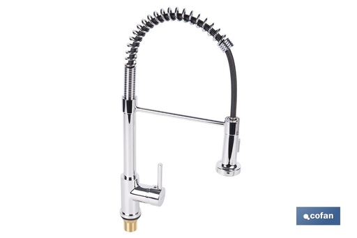 [42000001] Grifo de cocina monomando con rociador