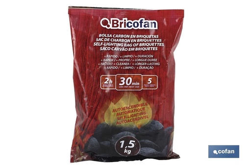 [43050112] Bolsa de carbón en Briquetas