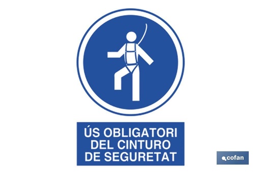 [CAT-O14PL297210] Obligatori Cinturo Seguretat