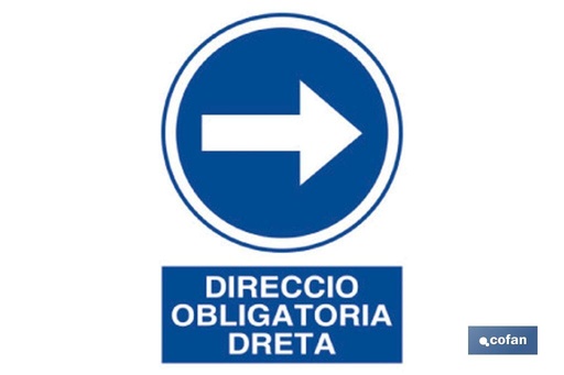 [CAT-O29PL297210] Obligatori Dreta