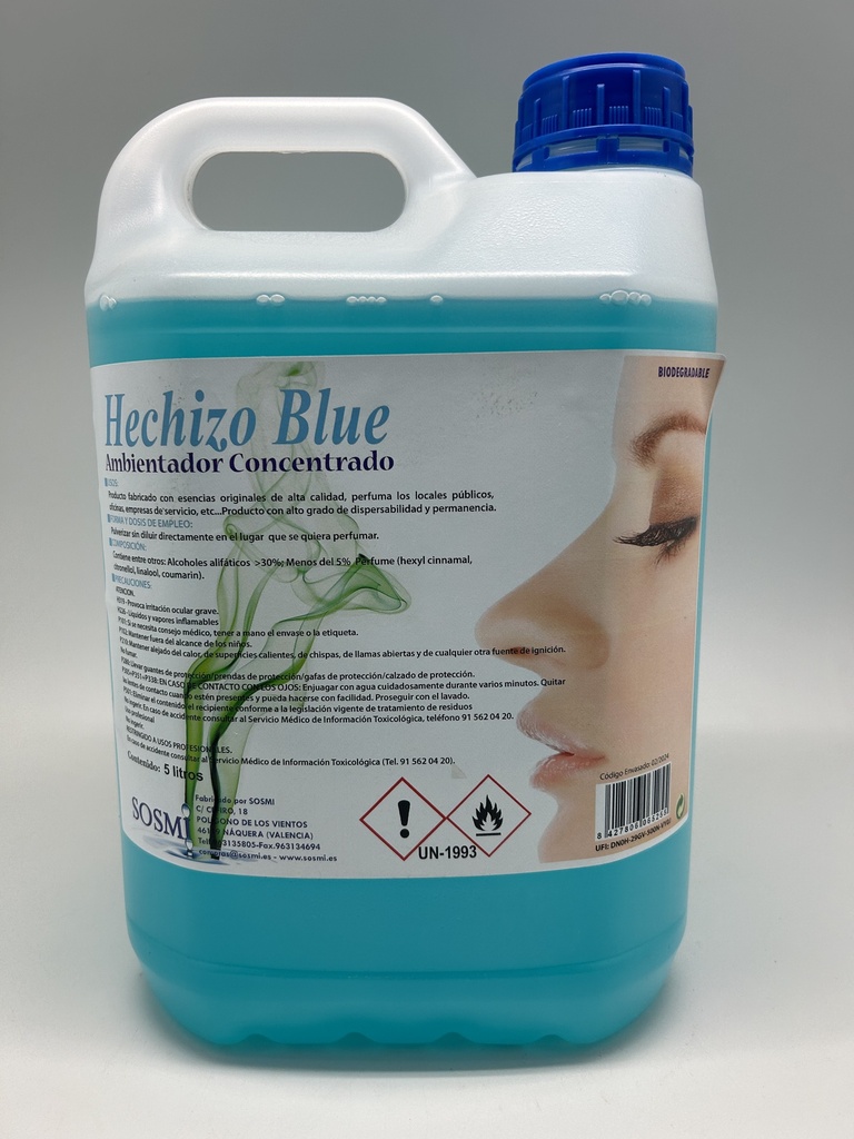 AMBIENTADOR CONCENTRADO HECHIZO BLUE 5L